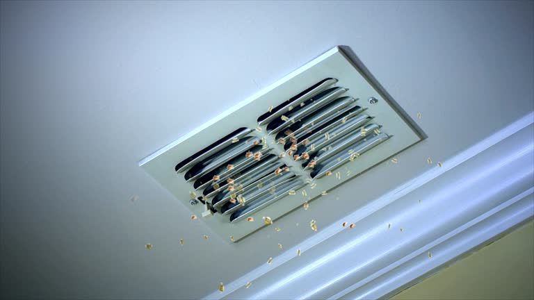 Best HVAC System Cleaning  in Provo, UT